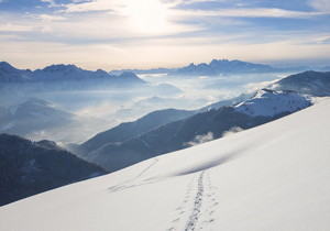 �ոգ�����ǩ��67������Ŀ��Ͷ��900��Ԫ�����CBD����Ŀ��ʽǩԼ��أ�