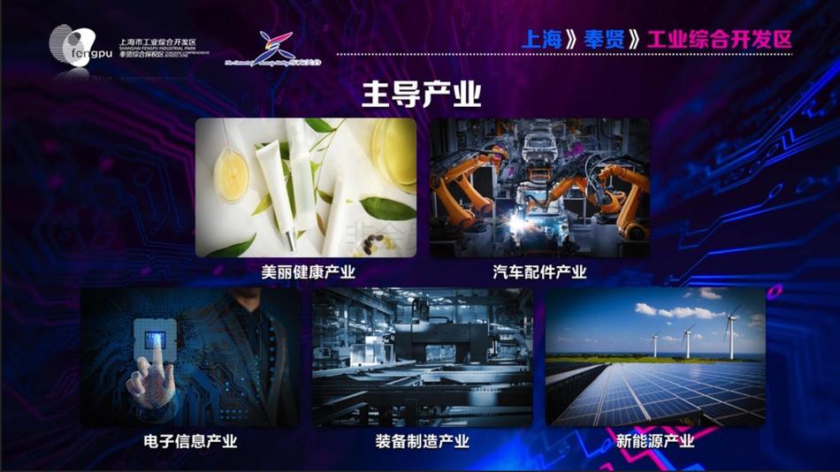 奉贤工业园区工业用地出售招商 (16).jpg