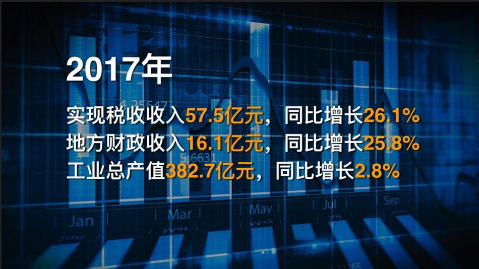 奉贤工业园区工业用地出售招商 (18).jpg