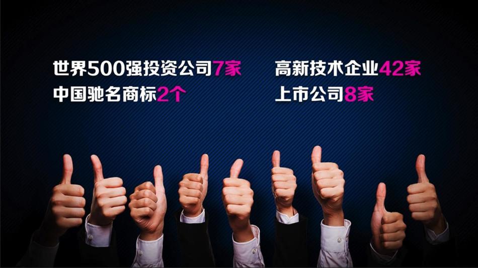 奉贤工业园区工业用地出售招商 (19).jpg