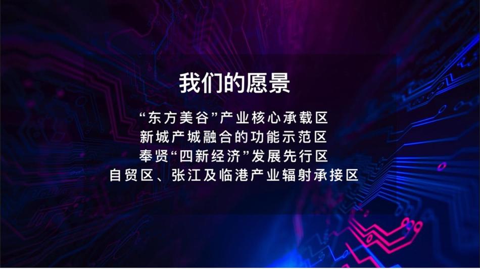 奉贤工业园区工业用地出售招商 (24).jpg