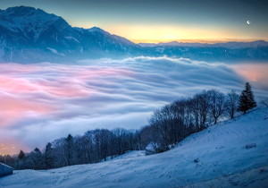 ������ǻ����µ���2025��ҵ�õ������г����Ʒ���