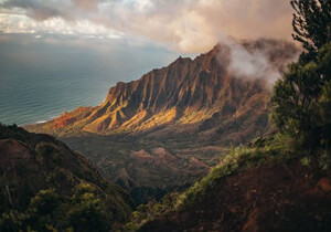 ������˾Ӫҵִ�յ�ַ������̼�ע������